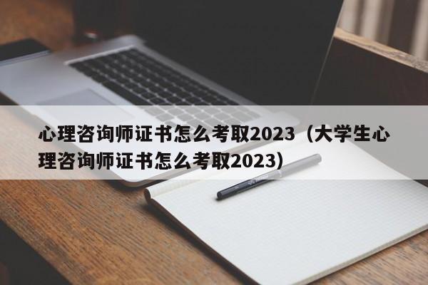 心理咨询师证书怎么考取2023（大学生心理咨询师证书怎么考取2023）