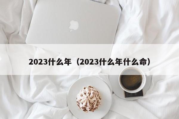 2023什么年（2023什么年什么命）